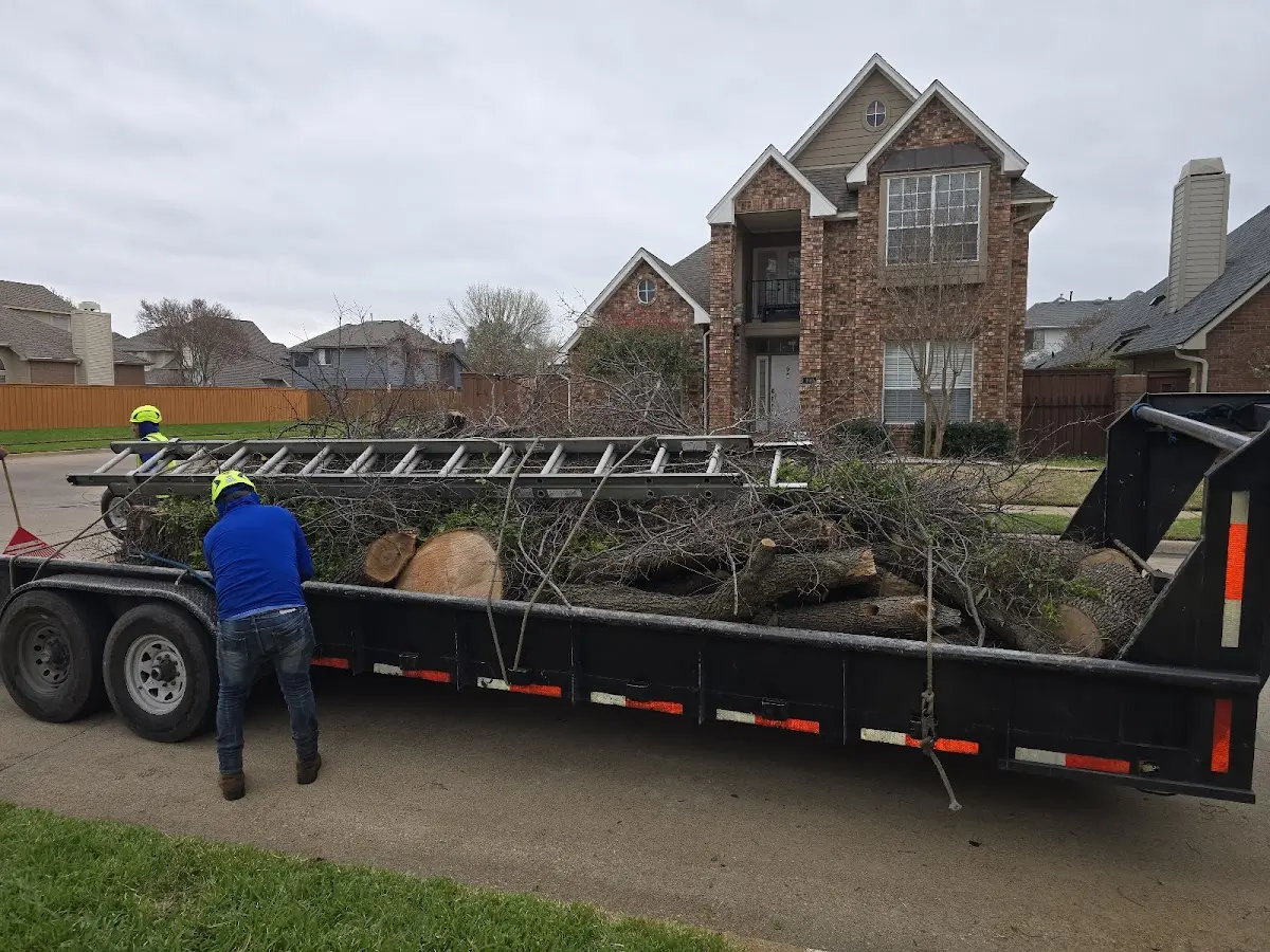 Expert Tree Pest Control with proper safety equipment in Orbisonia